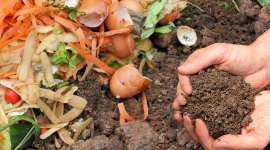 Kako napraviti prirodni kompost