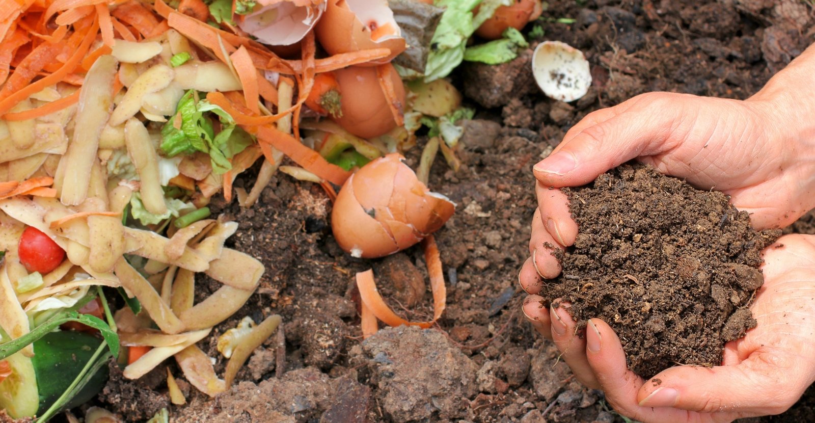 Kako napraviti prirodni kompost