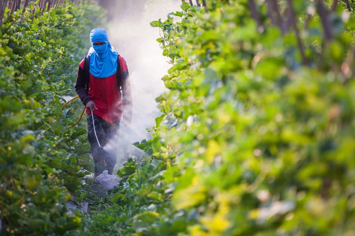 Teški metali i pesticidi – otrovi ili nužno zlo?